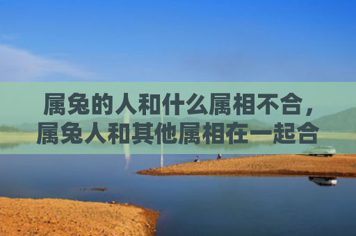 属兔的人和什么属相不合，属兔人和其他属相在一起合财吗
