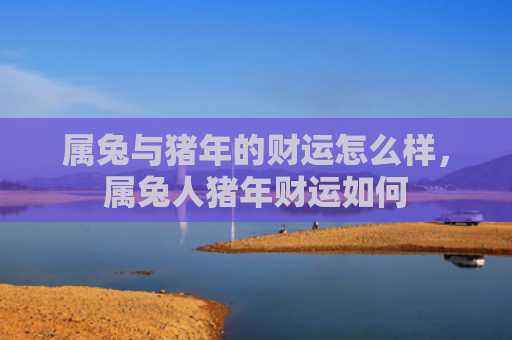 属兔与猪年的财运怎么样，属兔人猪年财运如何