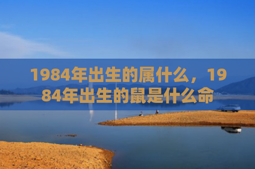 1984年出生的属什么，1984年出生的鼠是什么命
