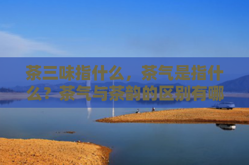 茶三味指什么，茶气是指什么？茶气与茶韵的区别有哪些？