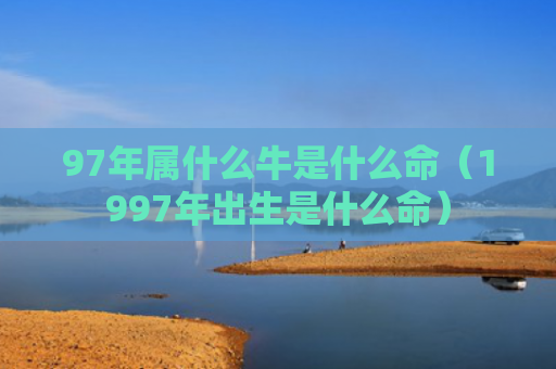 97年属什么牛是什么命（1997年出生是什么命）