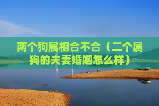 两个狗属相合不合（二个属狗的夫妻婚姻怎么样）