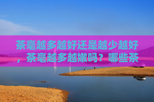 茶毫越多越好还是越少越好，茶毫越多越嫩吗？哪些茶会有茶毫？