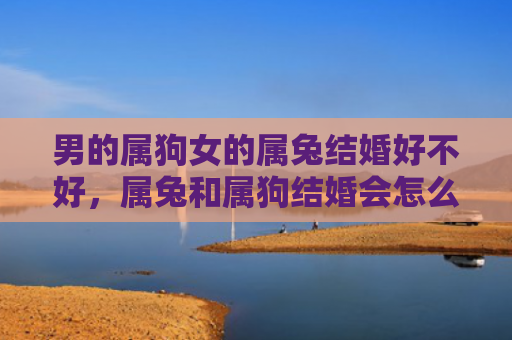 男的属狗女的属兔结婚好不好，属兔和属狗结婚会怎么样