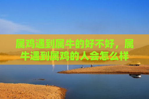 属鸡遇到属牛的好不好，属牛遇到属鸡的人会怎么样