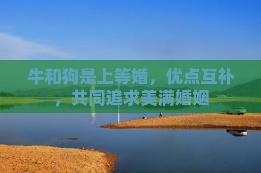 牛和狗是上等婚，优点互补，共同追求美满婚姻