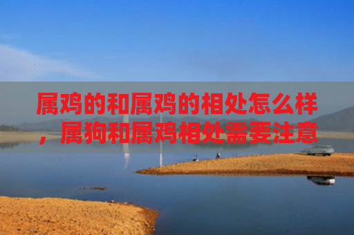 属鸡的和属鸡的相处怎么样，属狗和属鸡相处需要注意什么