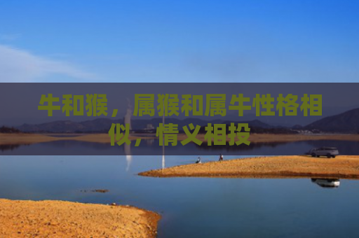 牛和猴，属猴和属牛性格相似，情义相投