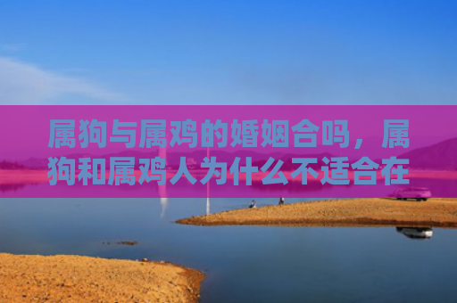 属狗与属鸡的婚姻合吗，属狗和属鸡人为什么不适合在一起