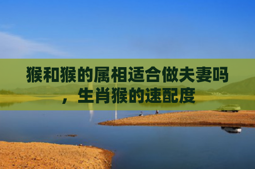 猴和猴的属相适合做夫妻吗，生肖猴的速配度