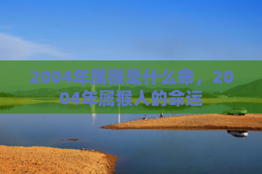 2004年属猴是什么命，2004年属猴人的命运