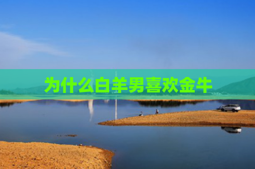 为什么白羊男喜欢金牛