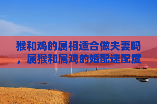 猴和鸡的属相适合做夫妻吗，属猴和属鸡的婚配速配度
