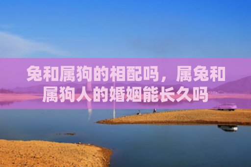 兔和属狗的相配吗，属兔和属狗人的婚姻能长久吗