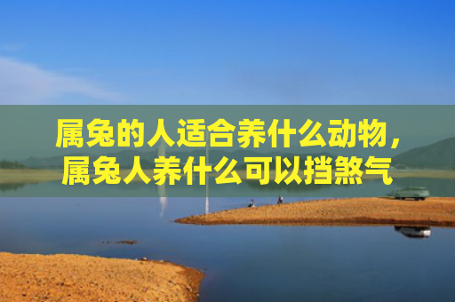 属兔的人适合养什么动物，属兔人养什么可以挡煞气
