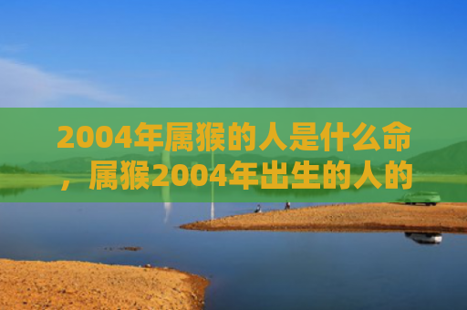 2004年属猴的人是什么命，属猴2004年出生的人的性格特点
