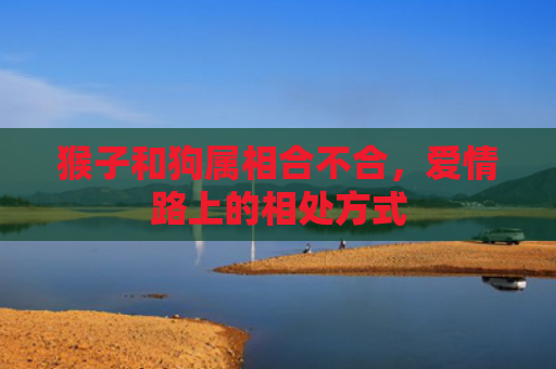 猴子和狗属相合不合，爱情路上的相处方式