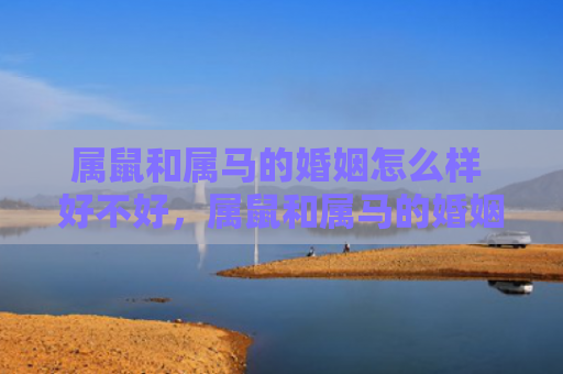 属鼠和属马的婚姻怎么样 好不好，属鼠和属马的婚姻怎么样