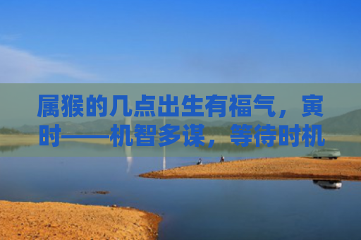 属猴的几点出生有福气，寅时——机智多谋，等待时机