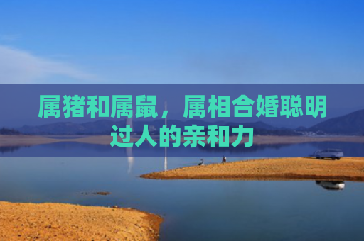 属猪和属鼠，属相合婚聪明过人的亲和力