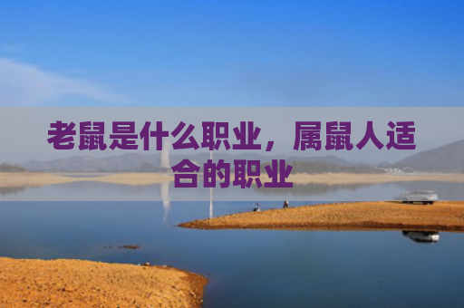 老鼠是什么职业，属鼠人适合的职业