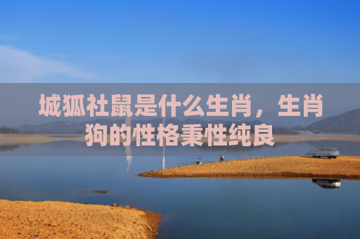 城狐社鼠是什么生肖，生肖狗的性格秉性纯良