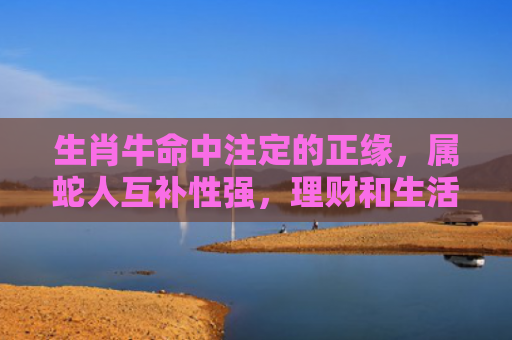 生肖牛命中注定的正缘，属蛇人互补性强，理财和生活仪式感的共同追求