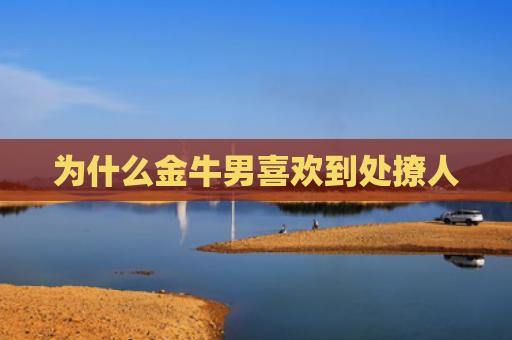 为什么金牛男喜欢到处撩人