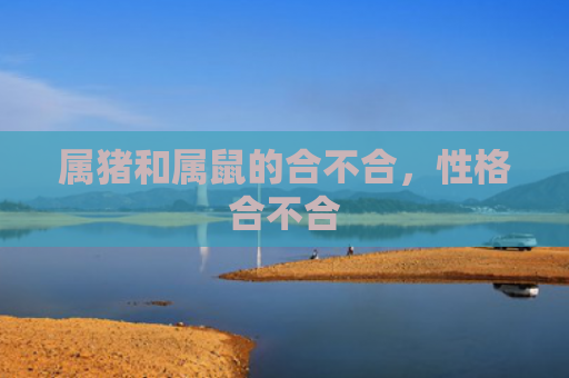 属猪和属鼠的合不合，性格合不合
