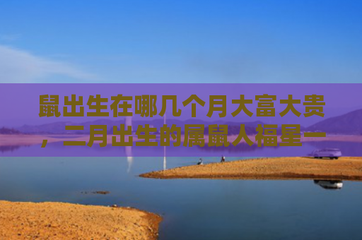 鼠出生在哪几个月大富大贵，二月出生的属鼠人福星一样的存在