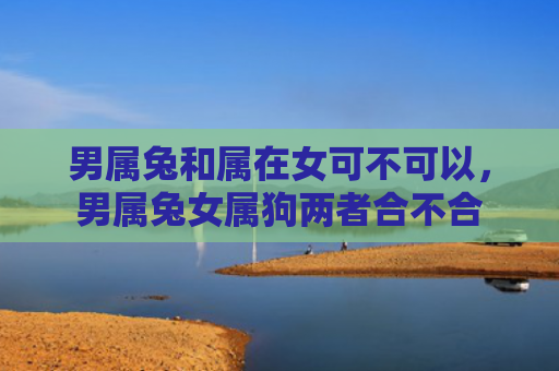 男属兔和属在女可不可以，男属兔女属狗两者合不合