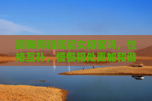 属狗男和属鼠女相配吗，性格互补，慢慢相处更加和谐