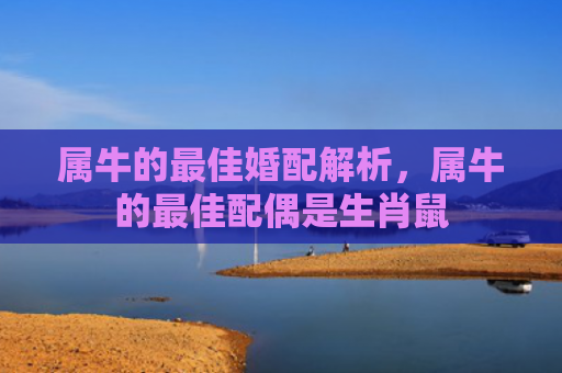 属牛的最佳婚配解析，属牛的最佳配偶是生肖鼠