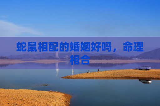 蛇鼠相配的婚姻好吗，命理相合