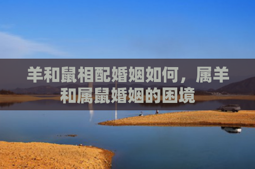 羊和鼠相配婚姻如何，属羊和属鼠婚姻的困境