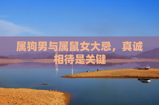 属狗男与属鼠女大忌，真诚相待是关键