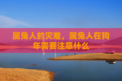 属兔人的灾难，属兔人在狗年需要注意什么