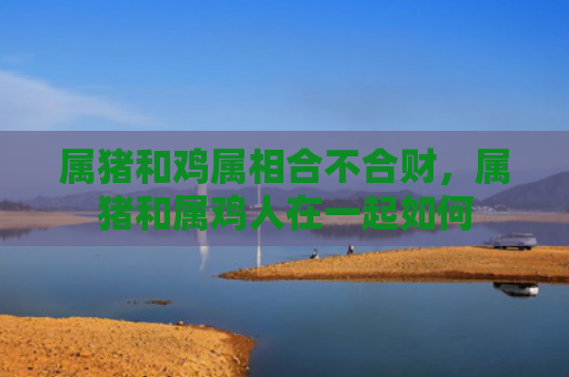 属猪和鸡属相合不合财，属猪和属鸡人在一起如何