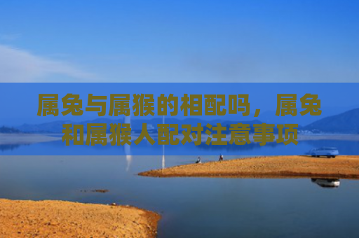 属兔与属猴的相配吗，属兔和属猴人配对注意事项