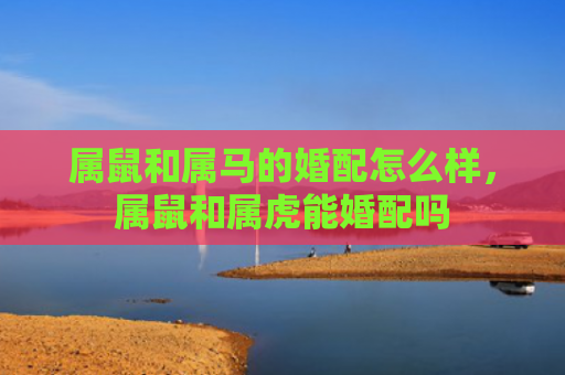 属鼠和属马的婚配怎么样，属鼠和属虎能婚配吗