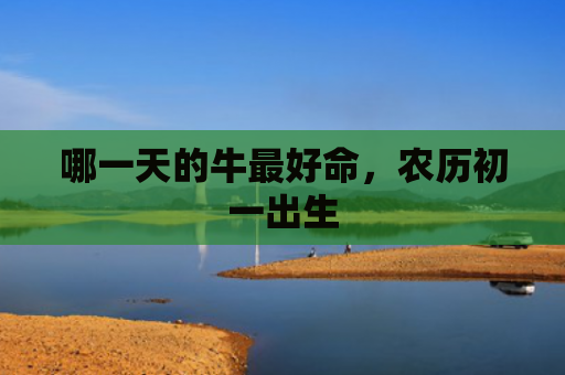 哪一天的牛最好命，农历初一出生