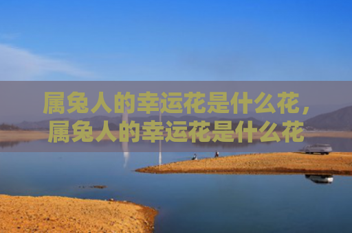 属兔人的幸运花是什么花，属兔人的幸运花是什么花
