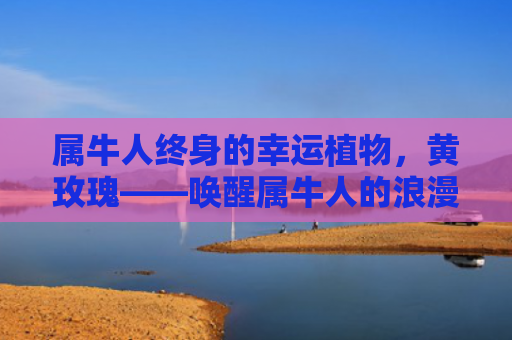 属牛人终身的幸运植物，黄玫瑰——唤醒属牛人的浪漫情怀