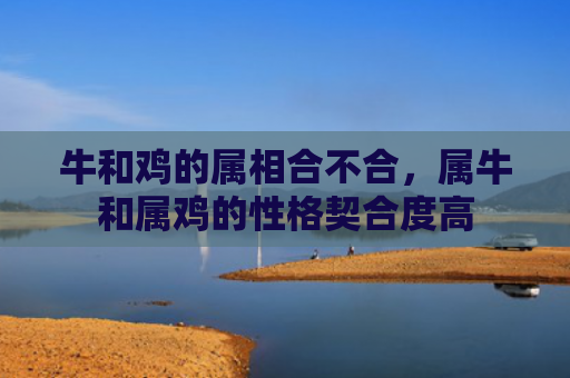 牛和鸡的属相合不合，属牛和属鸡的性格契合度高