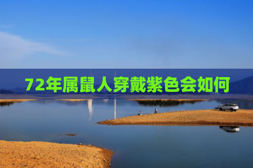 72年属鼠人穿戴紫色会如何