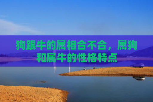 狗跟牛的属相合不合，属狗和属牛的性格特点