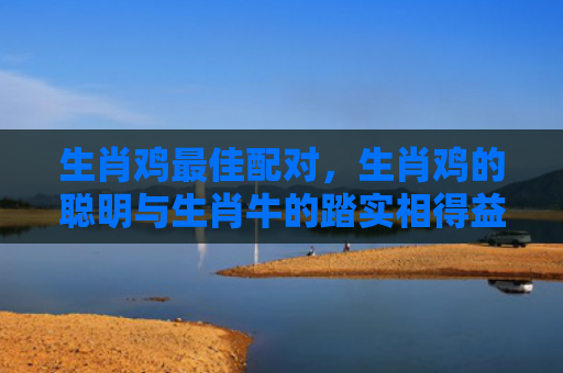 生肖鸡最佳配对，生肖鸡的聪明与生肖牛的踏实相得益彰