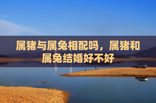 属猪与属兔相配吗，属猪和属兔结婚好不好