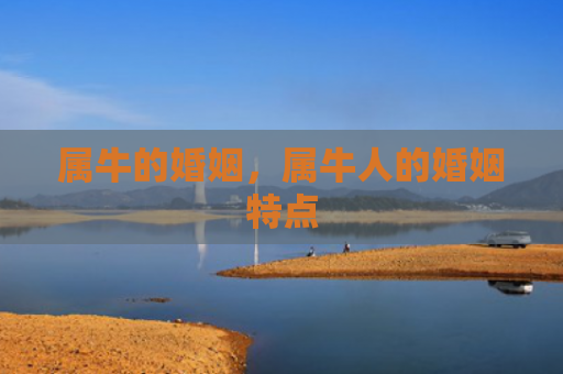 属牛的婚姻，属牛人的婚姻特点