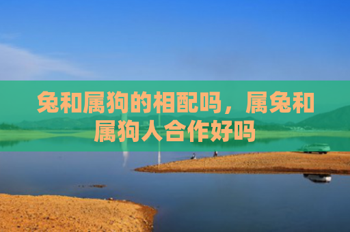 兔和属狗的相配吗，属兔和属狗人合作好吗